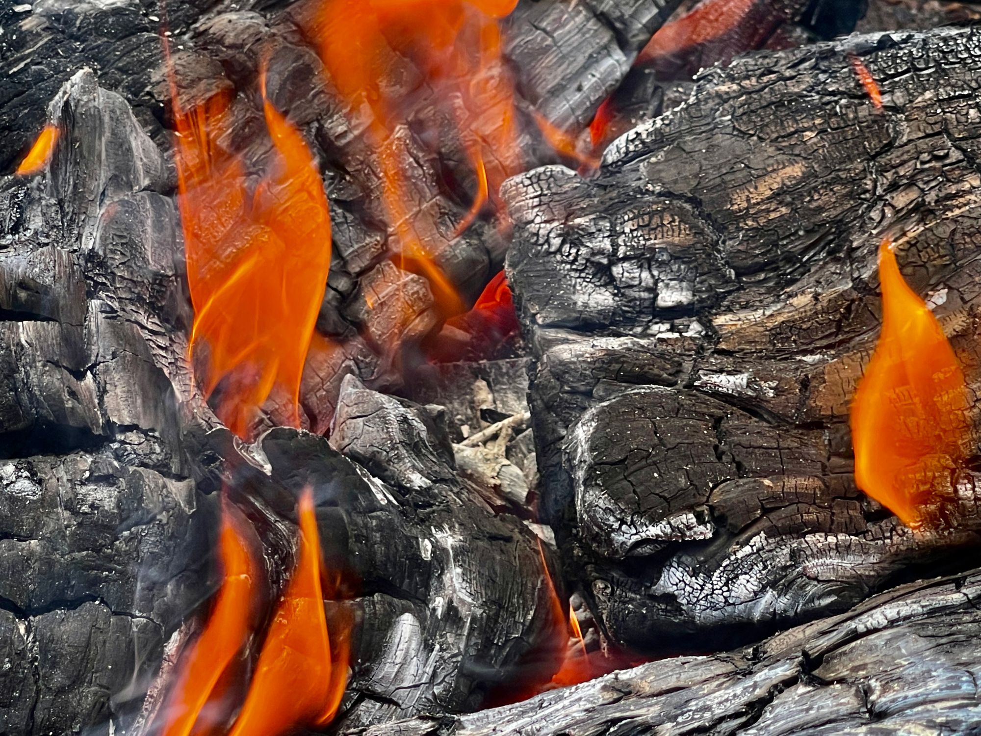 Charred logs burning