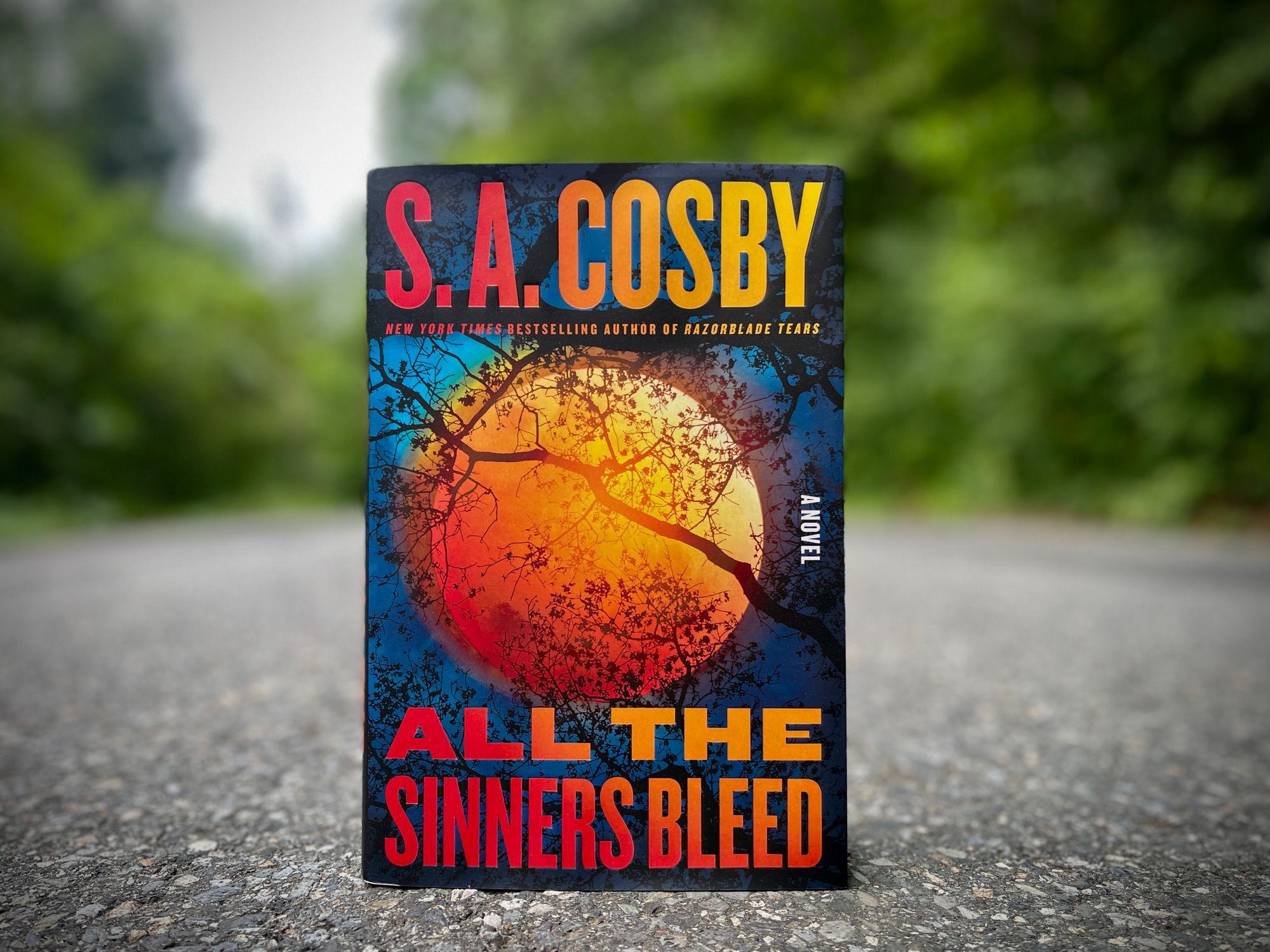 Book Review: All the Sinners Bleed by S.A. Cosby