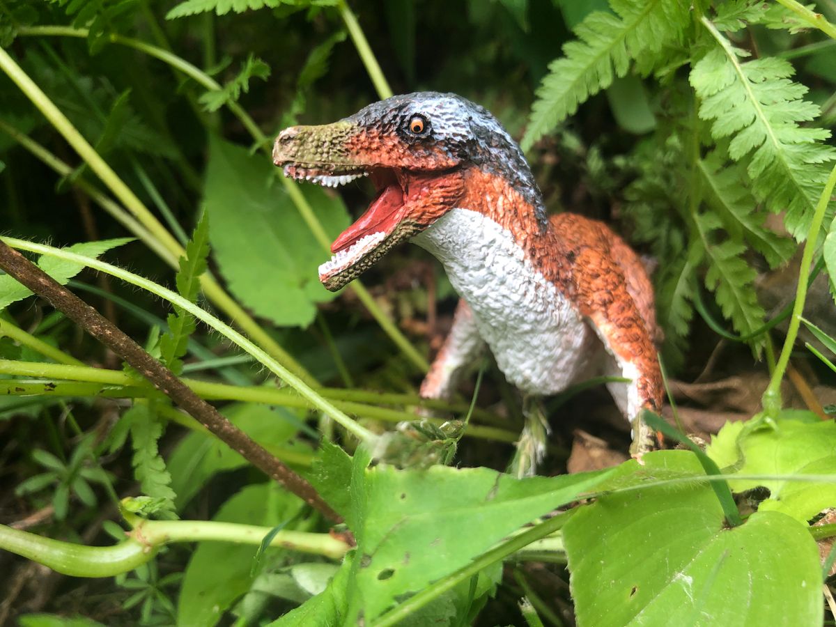 Proposals for Regulating Free-Range Velociraptors