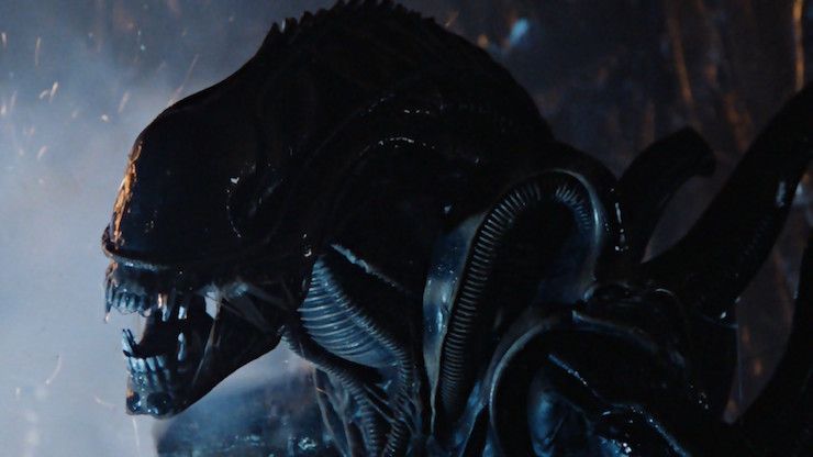 There's a new Alien film in the works