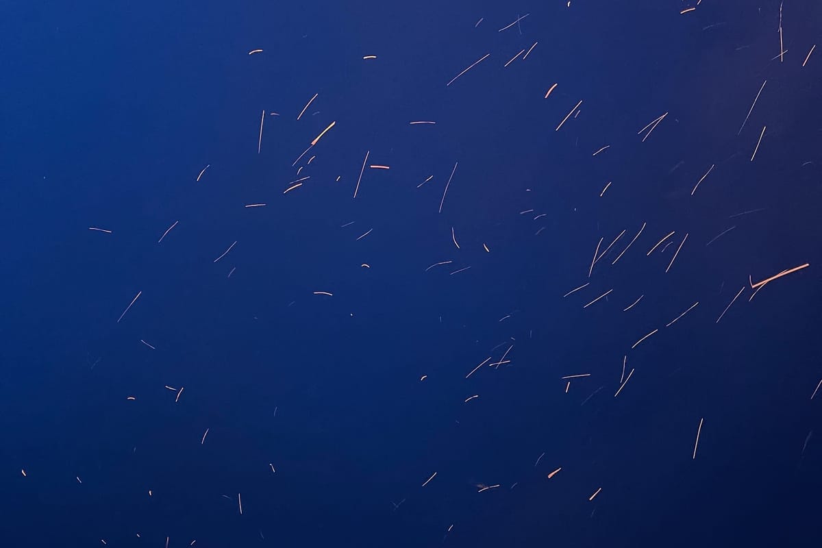 Embers