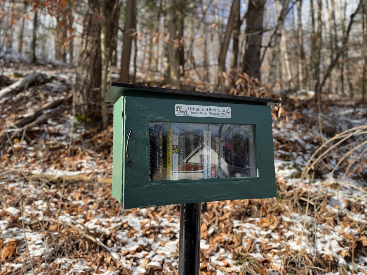Return of the Mill Street Little Free Library