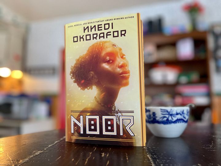 Nnedi Okorafor's Noor is a vivid work of Africanfuturism cyberpunk
