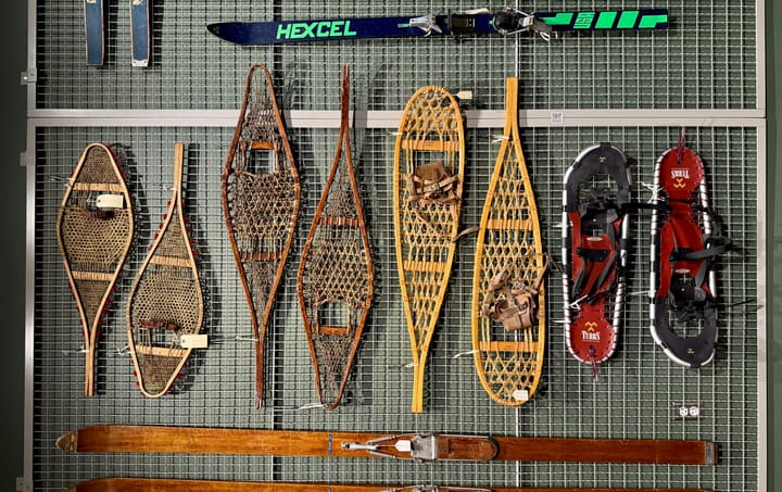 Evolution of the snowshoe